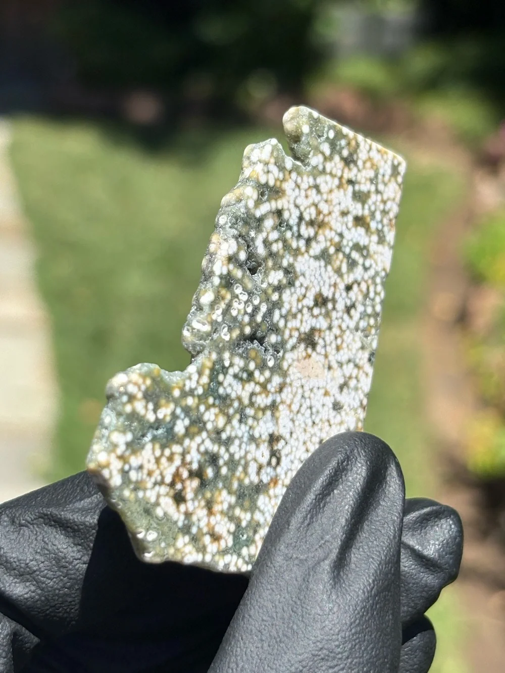 Ocean Jasper Crystal Slab - Orbicular Jasper - Polished Sea Jasper